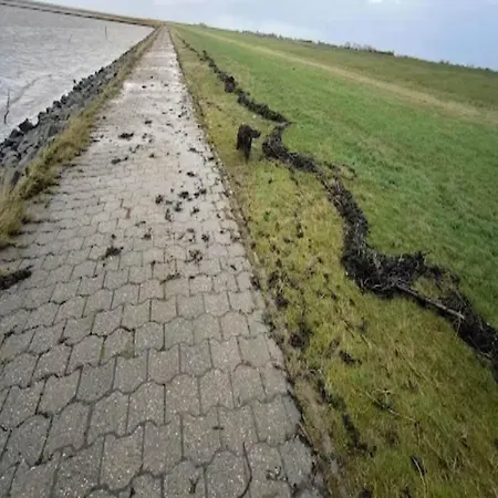 Maisonette Meerjungfrau, Apartment