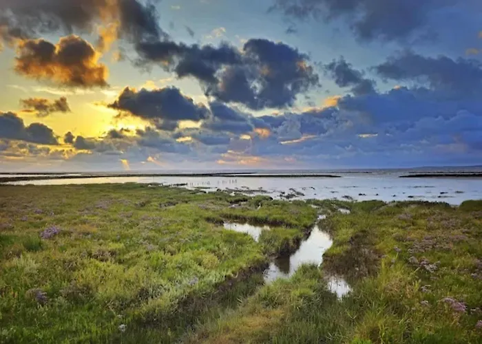 Maisonette Meerjungfrau, * 多纳莫塞尔