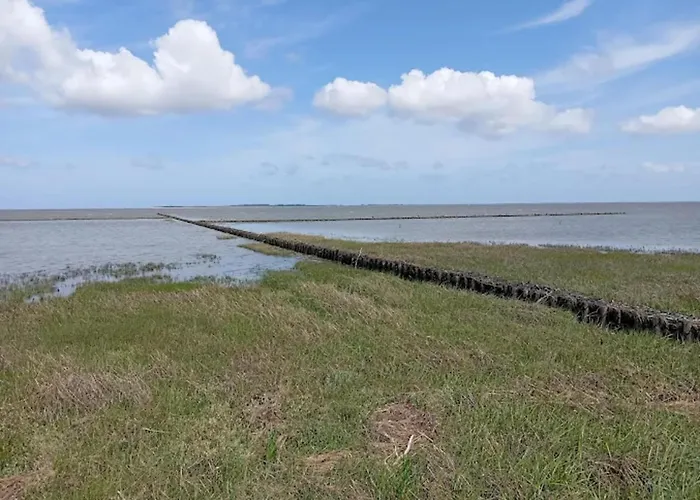 Maisonette Meerjungfrau, 多纳莫塞尔